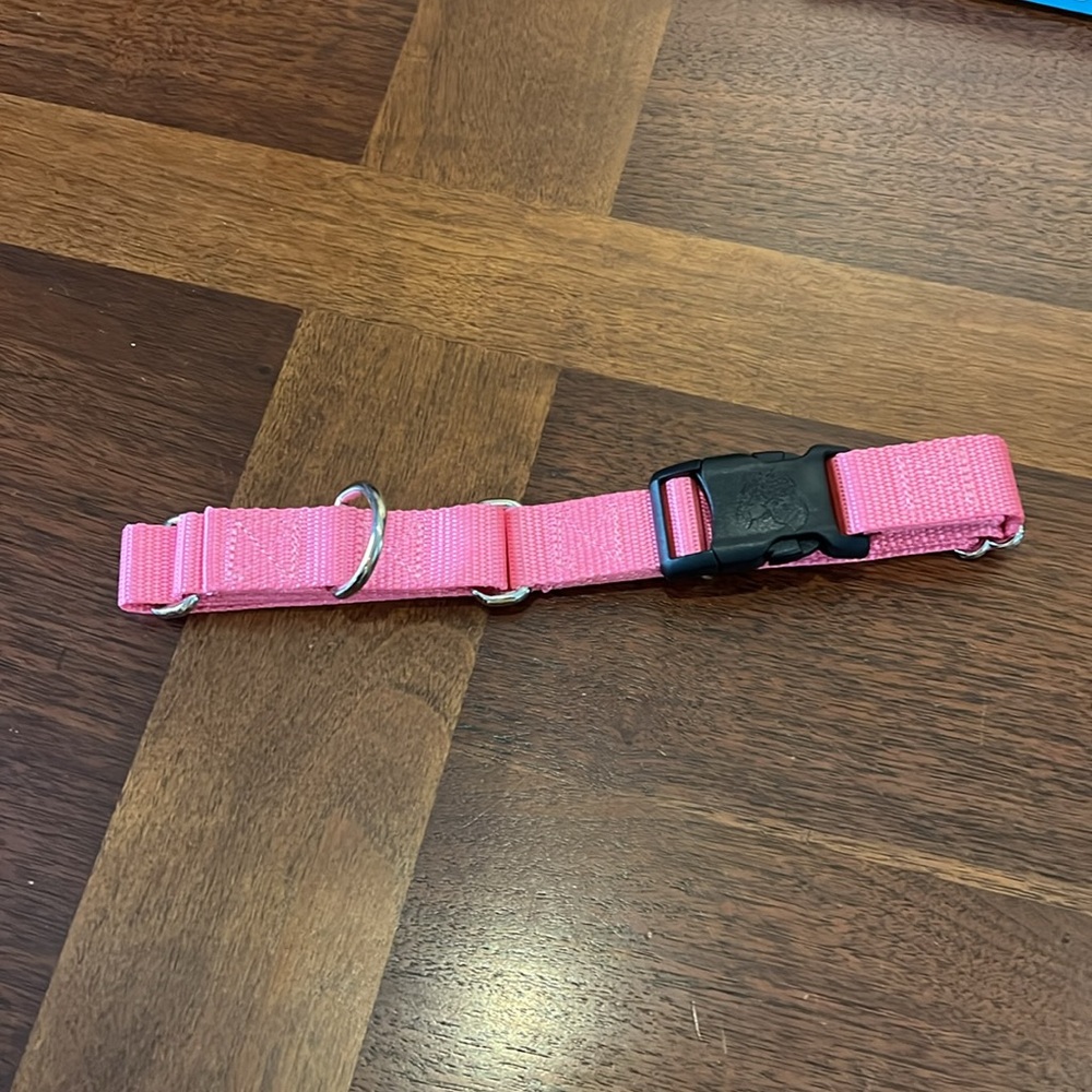 Country Brooks Petz NIB martingale dog collar